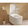 Подвесной безободковый унитаз VITRA V-CARE PRIME 7231B403-6216